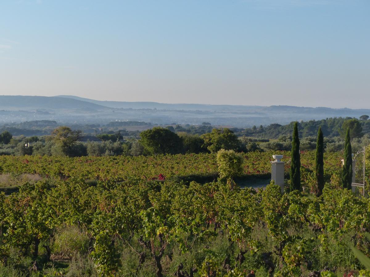 Chateau De Valloubiere-Gite Saint-Jean-de-Fos 外观 照片