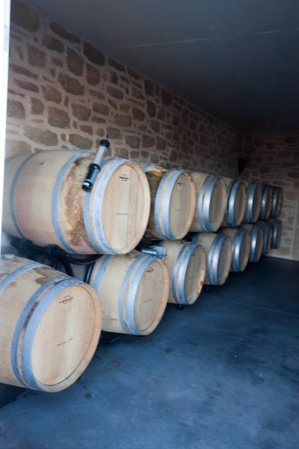 Chateau De Valloubiere-Gite Saint-Jean-de-Fos 外观 照片
